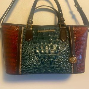 Brahmin Mini Asher Ivy Figaro